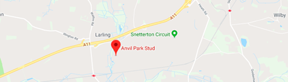 Anvil Park Stud Location