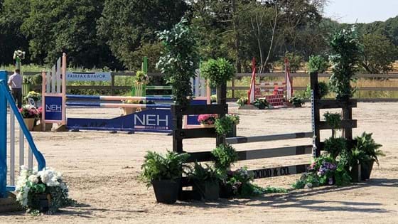 Arena Hire