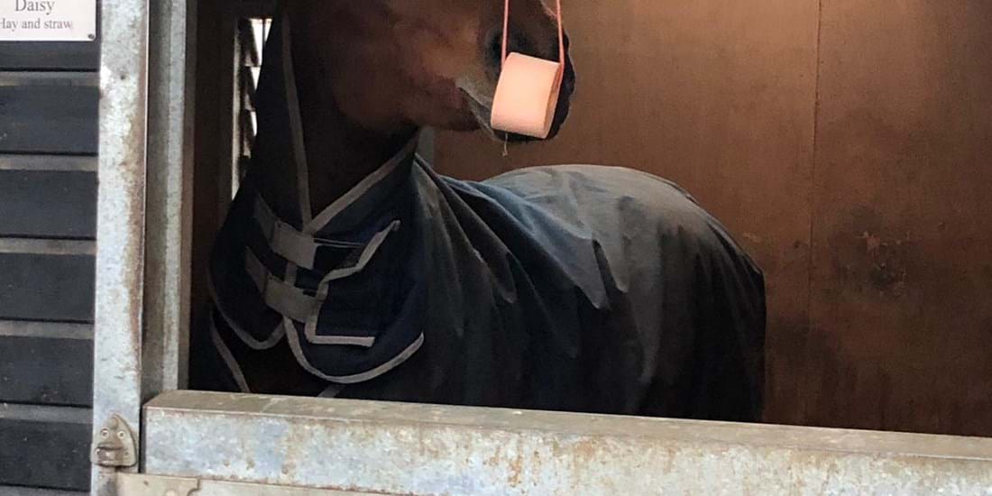 IMG 20181207 WA0006