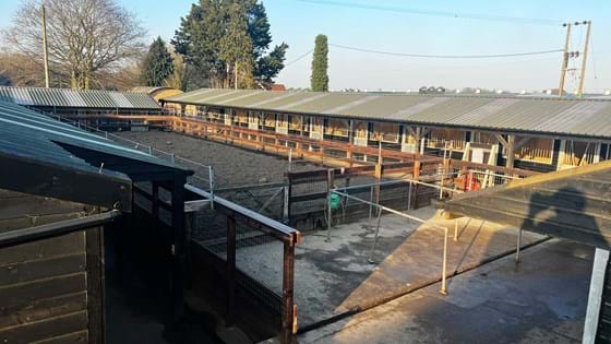 Livery Services