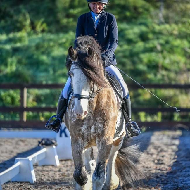 Dressage Am