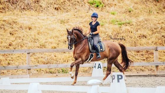 Schooling and Backing